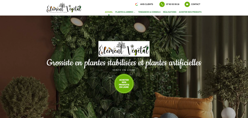 Création d'un site internet optimisé SEO pour Élément Végétal, spécialiste des plantes stabilisées et artificielles pour professionnels