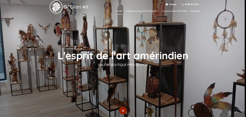 Un site web performant pour BP DISTRI ART, galerie boutique d'art amérindien à Lyon, conçu pour booster sa visibilité