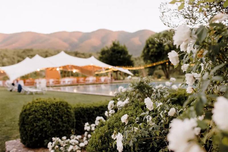 Création d'un site internet pour un chateau domaine pour mariage dans le Luberon : Le Chateau du Griffon