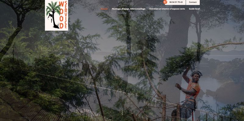 Wood Service, élagueur grimpeur à Toulon