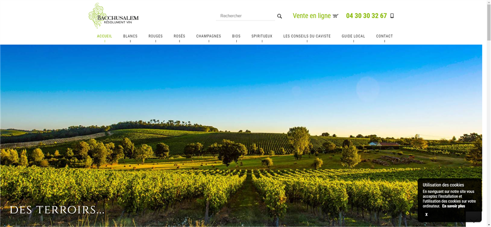 Création d'un site web pour une cave de vins bios à Perthuis