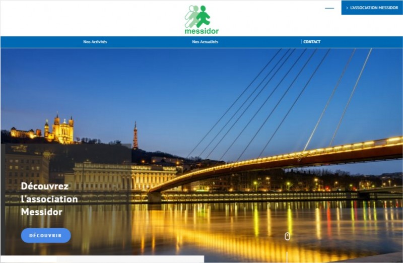 Entretien d'espaces verts pour collectivités à Lyon