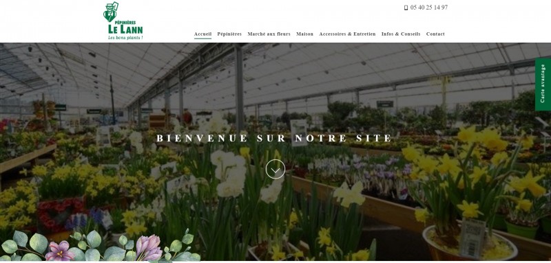 Vente de plante verte d'intérieur et plante d'intérieur fleurie à Bordeaux