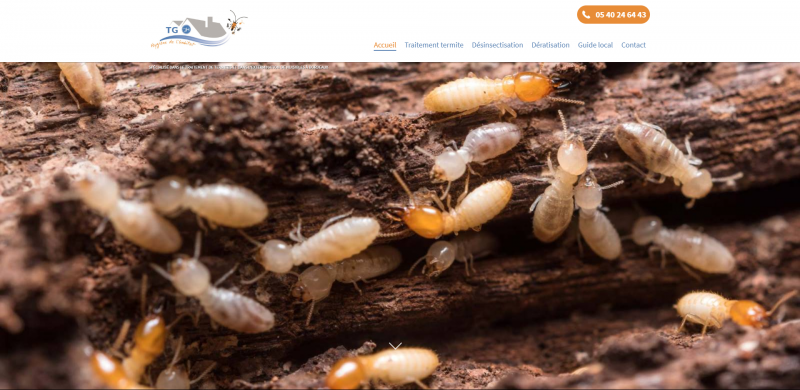 Site web pour une entreprise spécialisé dan le traitement anti-termites à Civrac-en-Médoc en Grionde (33) - TG2H Médoc 