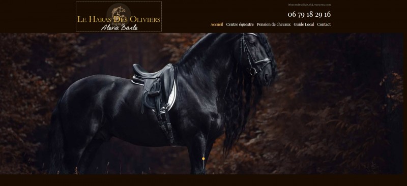 Le Haras des Olivier à Eguilles - Cours d'équitation et pension chevaux Aix-en-Provence