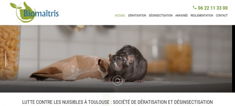 Entreprise de traitement contre nuisibles à Toulouse