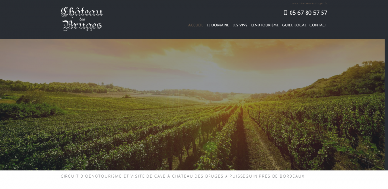 Création de site pour un domaine viticole à Puisseguin près de Bordeaux - Château des Bruges