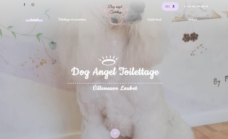 Création d'un site internet pour un salon de toilettage à Villeneuve-Loubet - Dog Angel Toilettage